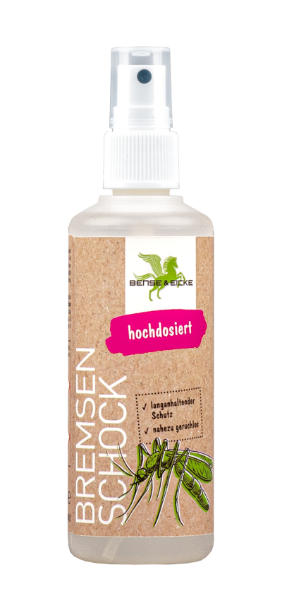 Bense & Eicke Bremsenschock