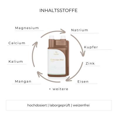 Alpurial ElektrolytPlus Inhaltsstoffe