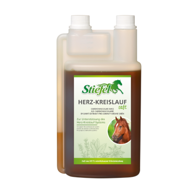 Abbildung Stiefel Herzkreislaufsaft in der Flasche