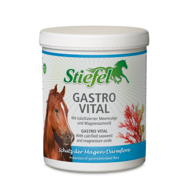 Stiefel Gastro Vital 1kg