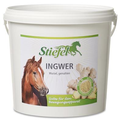 Stiefel Ingwer 1kg