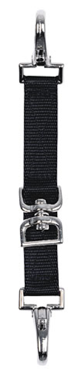 Longierbrille