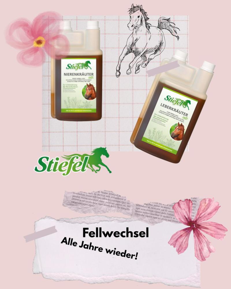 Abbildung beider Säfte