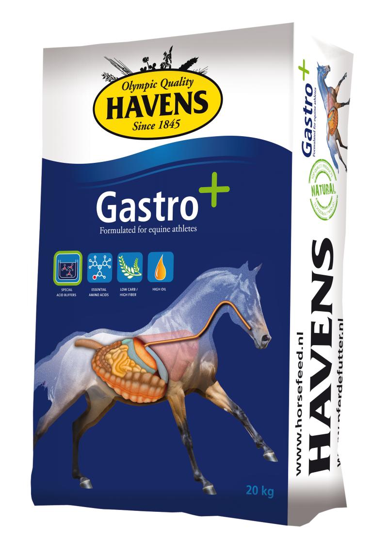 Havens Gastro+ 20 kg