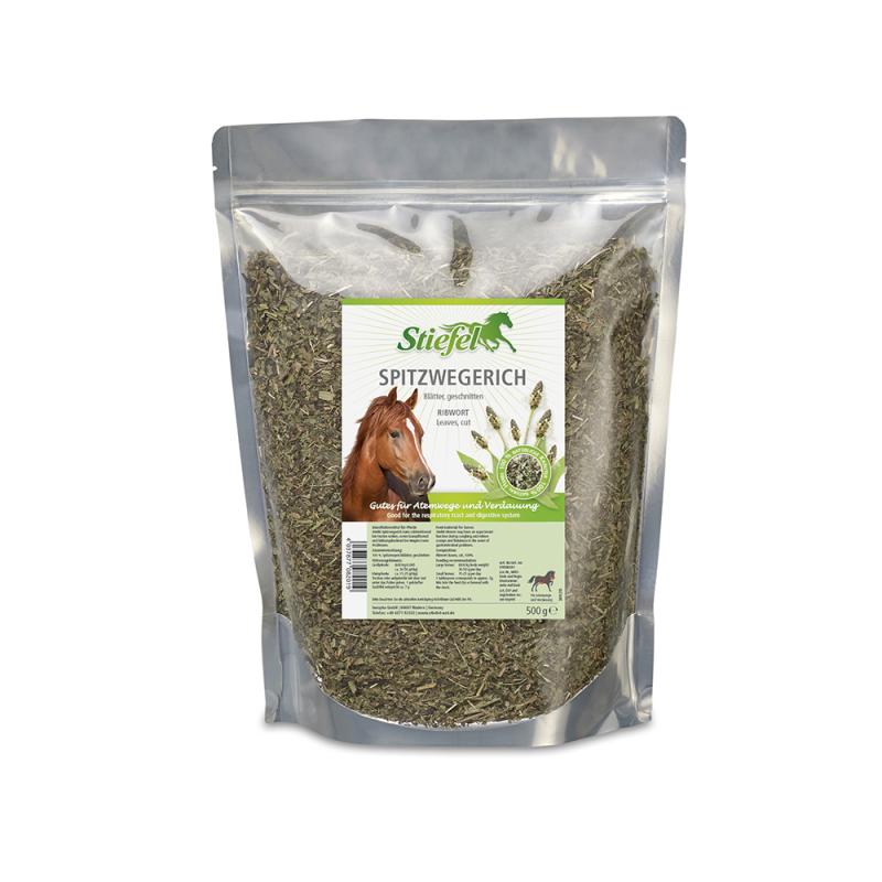 Stiefel Spitzwegerich 500g